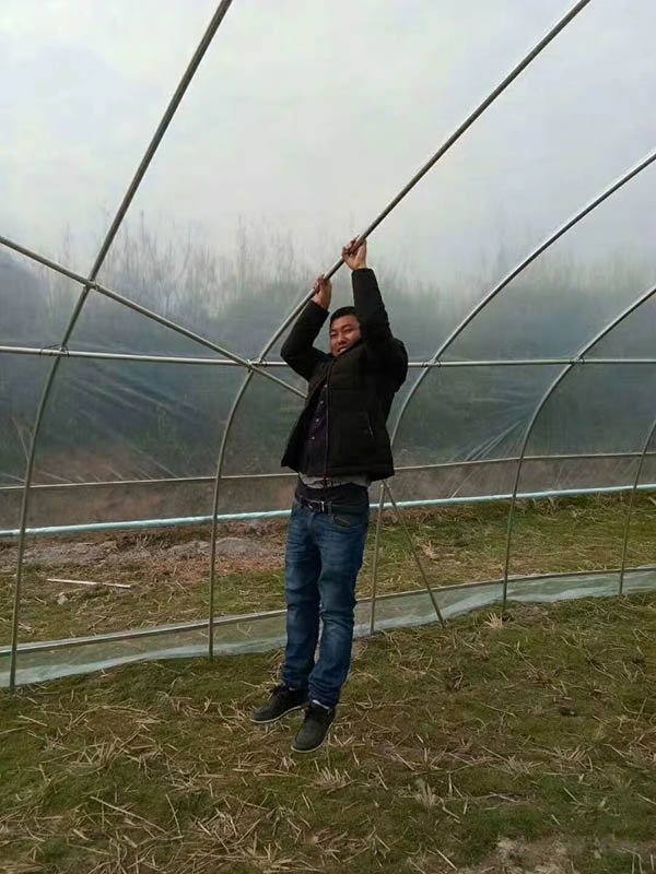 黔东南单体大棚