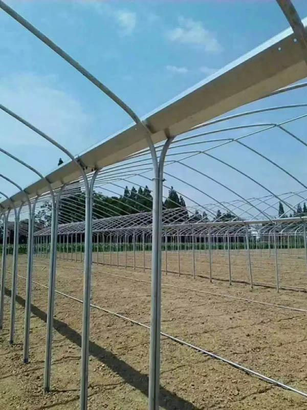 黔东南连体大棚